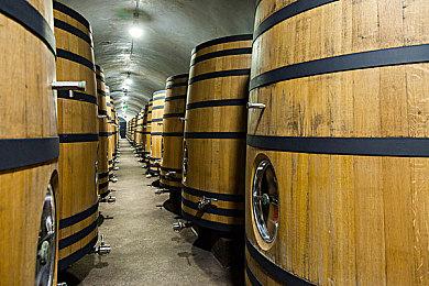 《超级马里奥世界：马里奥与耀西》乐高套装曝光